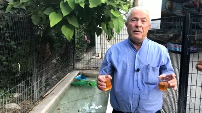 Balıkçı Kenan Balcı: