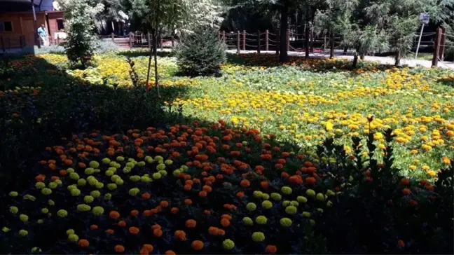 Çiçeklerle donatılan Ekopark bir başka güzel