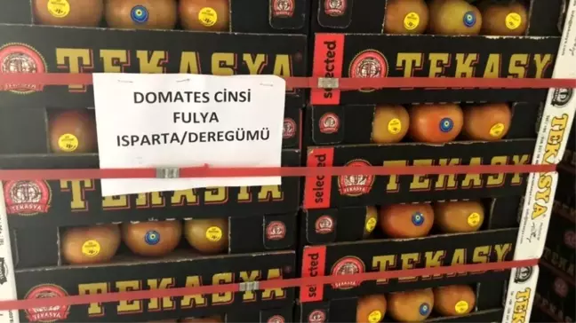 Isparta'dan 3 ülkeye 521 tonluk domates ihracatı
