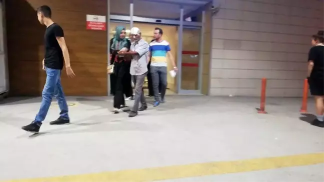 Şeftali toplarken ağaçtan düştü