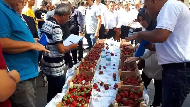İskilip'te 