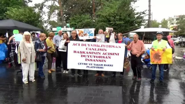 STK'larda iklim değişimine dikkat çektiler