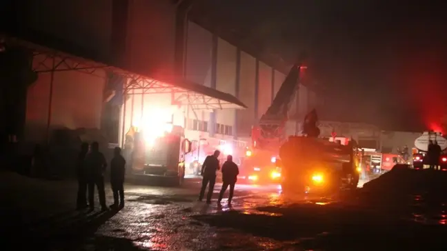 Giresun'da fındık fabrikasında yangın