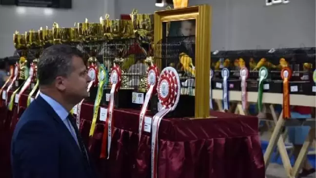 Edremit'te 4'üncü EYCC Yorkshire Kanarya Yarışması yapıldı