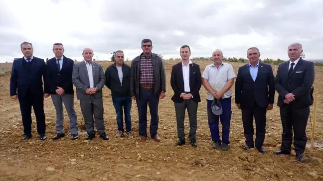 Edirne'den kısa kısa