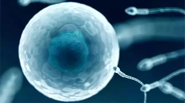 Dünyanın ilk HIV-pozitif sperm bankası Yeni Zelanda'da açıldı