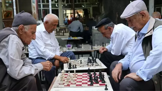 OECD: Türkiye'de milli gelirin yaklaşık yüzde 7'si emekli maaşlarına gidiyor
