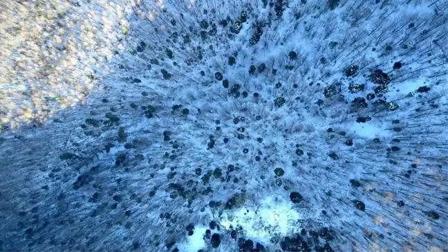 Uludağ'da kayıp olan iki dağcı drone ile arandı