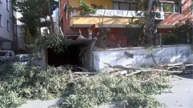 Kartal'da lodosun devirdiği ağaç cipin üzerine düştü