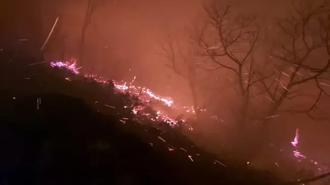 Trabzon'daki orman yangını