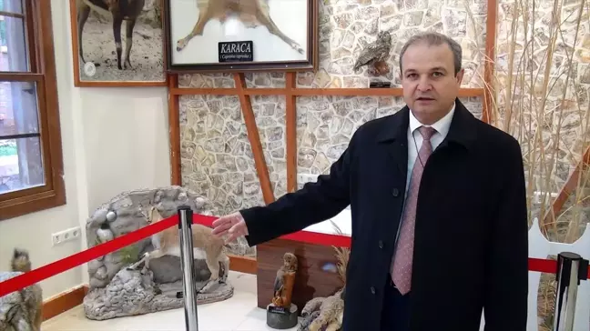 Osmaniye'de yaban hayvanlarının tanıtımı tahnitlerle yapılıyor