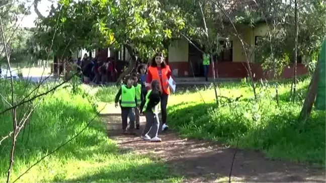 Nesli tükenme tehlikesi bulunan