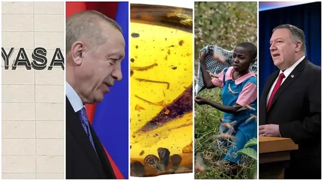 Koronavirüsten dolayı gözden kaçırmış olabileceğiniz 5 haber