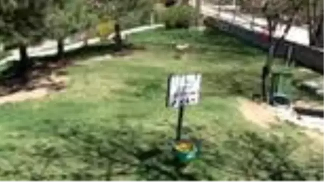 Çankaya Belediyesi, sokak hayvanlarını unutmadı