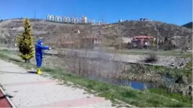 Kızılcahamam'da haşerelere yönelik ilaçlama çalışmaları devam ediyor