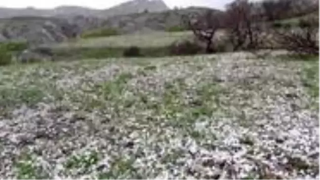 Elazığ'da misket büyüklüğünde dolu yağdı
