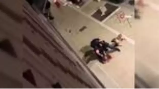 Fransız polisi yakaladığı şahsı köpek ağızlığıyla darp etti