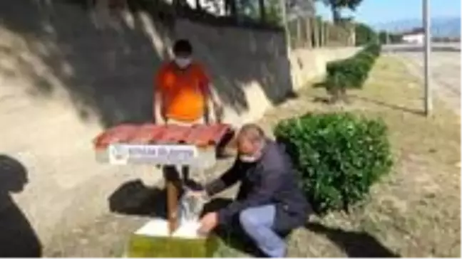 Kuyucak'ta sokak hayvanları unutulmadı