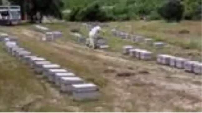 Arıcılar Toroslar'a göçe hazırlanıyor