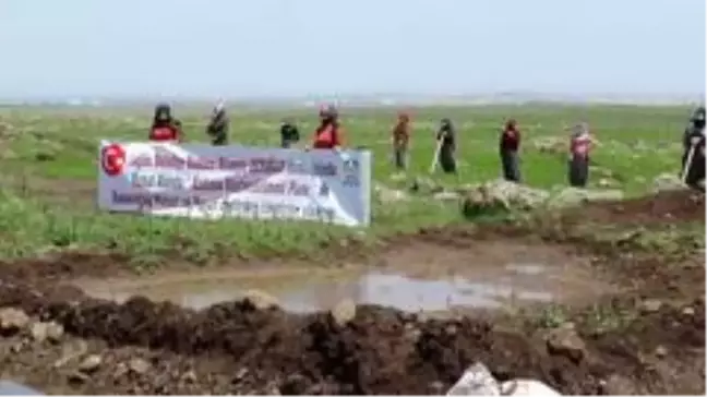 Kadınlar, Bağlar Belediyesinin desteği ile tescilli Karacadağ pirinci ve peynirini üretecek