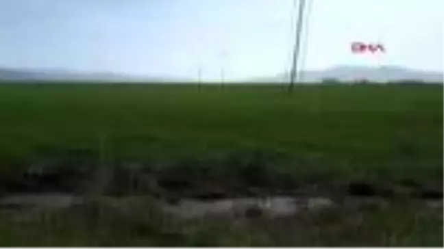 Kanalda susuz kalan 3 ton inci kefali, Tarım ve Orman Müdürlüğü ekiplerince kurtarıldı