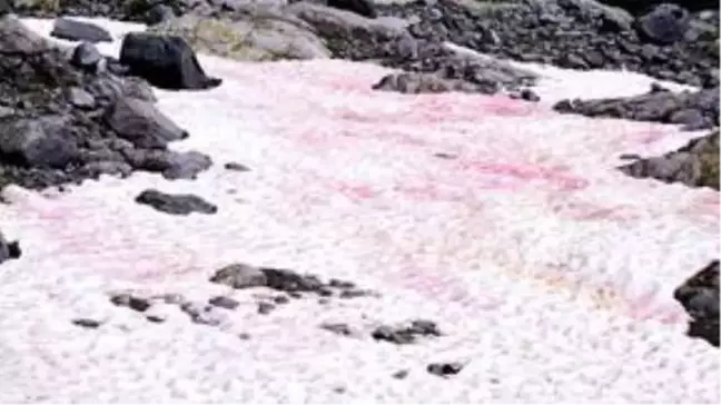 İtalya'da Görülen Pembe Kar Küresel Isınmaya İşaret