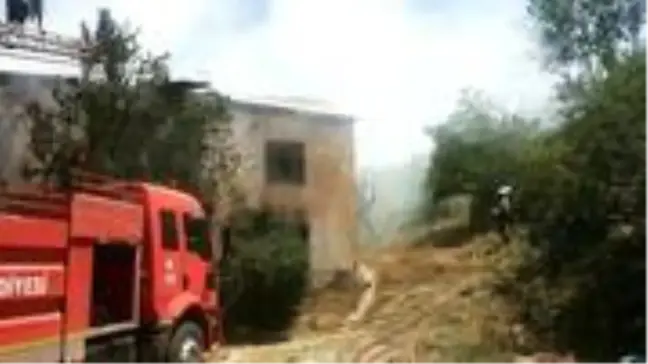 Gevaş'ta korkutan yangın