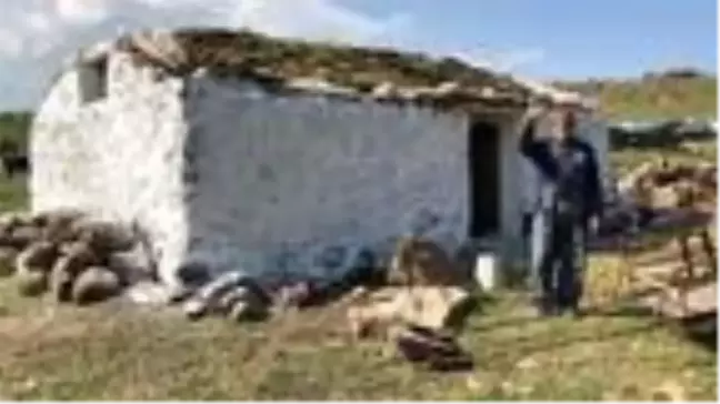 83'lük Muharrem Dede, yaylada eskiyen evini yıktı, yenisini inşa etti