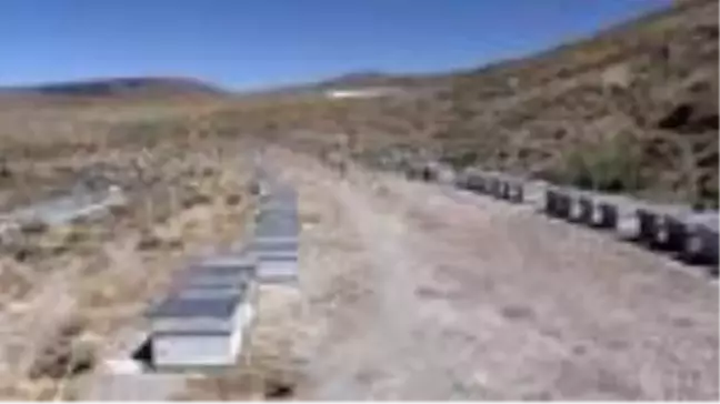 Kaliteli bal üretimi için Erciyes'e geliyorlar