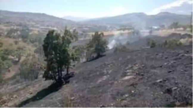 Son dakika! Otluk alanda çıkan yangın korkuttu