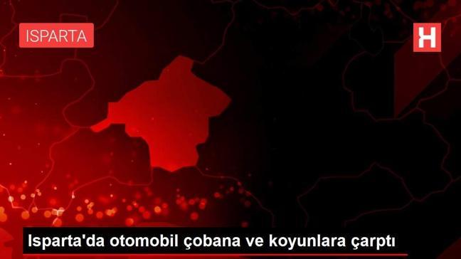 Isparta'da otomobil çobana ve koyunlara çarptı