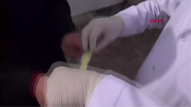 Sivas'ın 'taklacı güvercini' tescillenecek