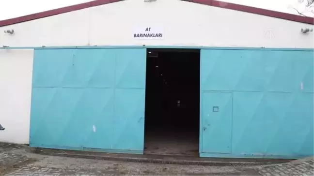 Ankara Yıldırım Beyazıt Üniversitesinde dünyaya gelen dişi taya