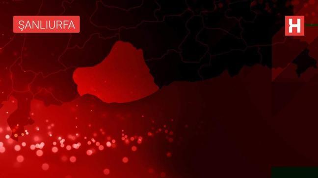 Son dakika haberleri | Şanlıurfa'da çıkan silahlı kavgada 2 kişi yaralandı