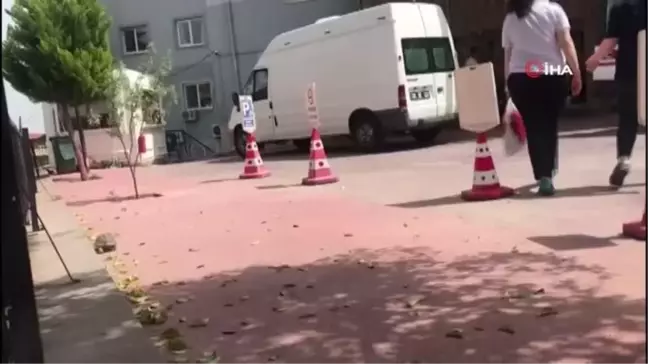 Yolu kaybeden kaplumbağa soluğu acilde aldı