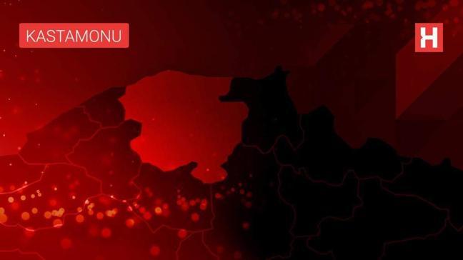 Kastamonu'da yolda gördükleri tilkiyi elleriyle beslediler