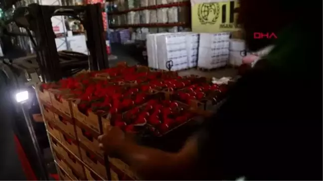İHH SURİYE'DE 22 TON DOMATES DAĞITTI