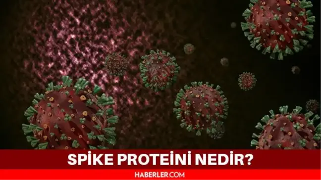 Spike Proteini nedir? Spike Proteini yapay mı? mRNA aşıları spike proteini mi veriyor?