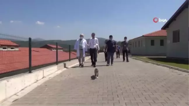 TVHB Başkanı Eroğlu: