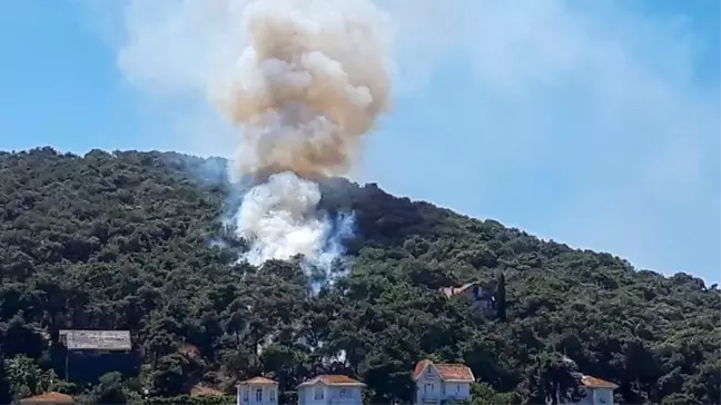 Heybeliada'da orman yangını
