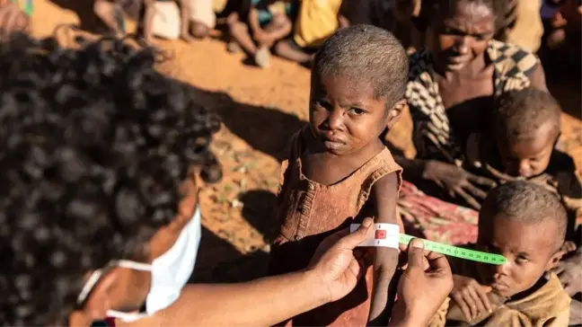 İklim krizi: BM'ye göre Madagaskar dünyada iklim değişikliği sonucu açlık görülen ilk ülke olmak üzere