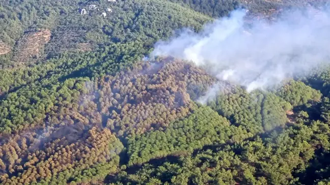 Son dakika haberi... Balıkesir'de orman yangını