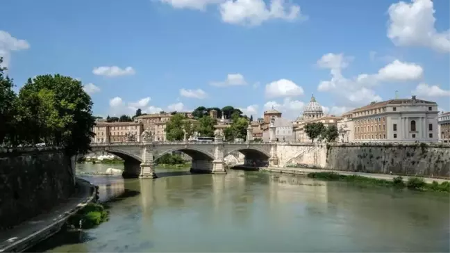 Roma'da Tiber Nehri'nde binlerce ölü balık: