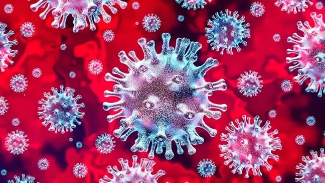 Son Dakika: Bugünkü vaka sayısı açıklandı mı? 25 Eylül 2021 koronavirüs tablosu yayınlandı mı? Türkiye'de bugün kaç kişi öldü? Bugünkü Covid tablosu!