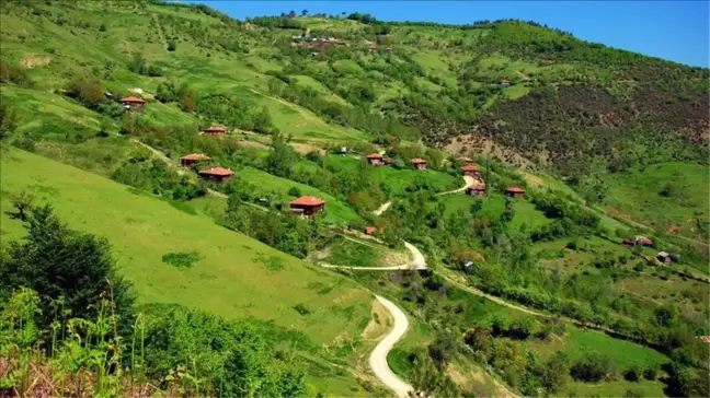 Yenice nerede? Yenice nereye bağlı? Yenice hangi şehirde? Yenice'nin tarihçesi ve idari yapısı!