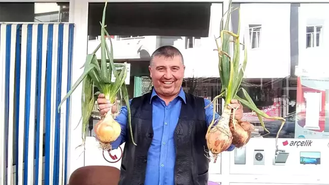 Ürettiği 840 gram soğan şaşırttı