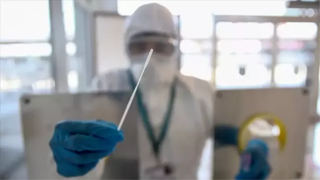 PCR testi sonucu ne zaman çıkar?