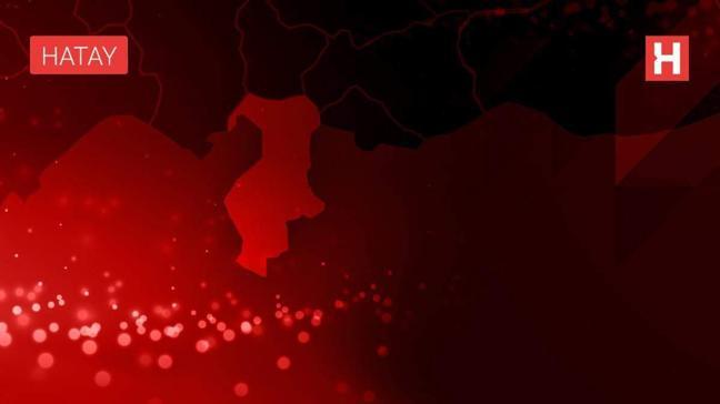Hatay'da gençler Mevlid-i Nebi Haftası kapsamında gül dağıttı
