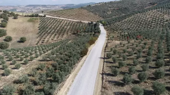 Muhtar Arslan, 'Çileğimiz Kadar Güzel Bir Yol Oldu'