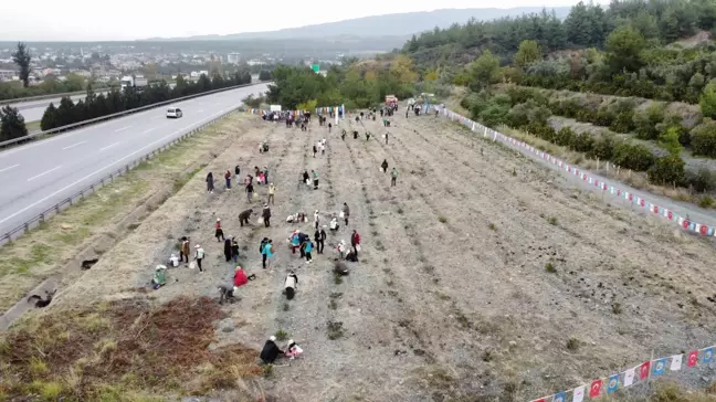 Dörtyol'da fidanlar toprakla buluşturuldu